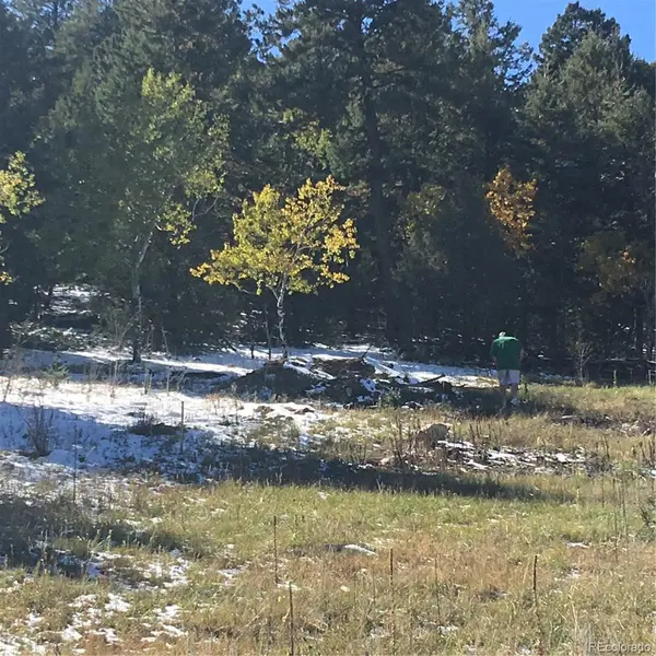 14745 Wetterhorn Peak TRL, Pine, CO 80470