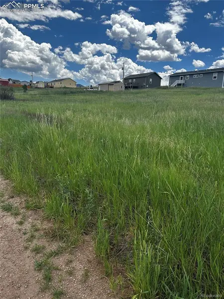 1298 Will Scarlet DR, Divide, CO 80814