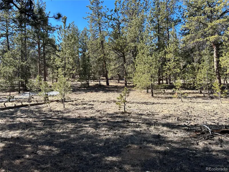 147 Haystack RD, Hartsel, CO 80449
