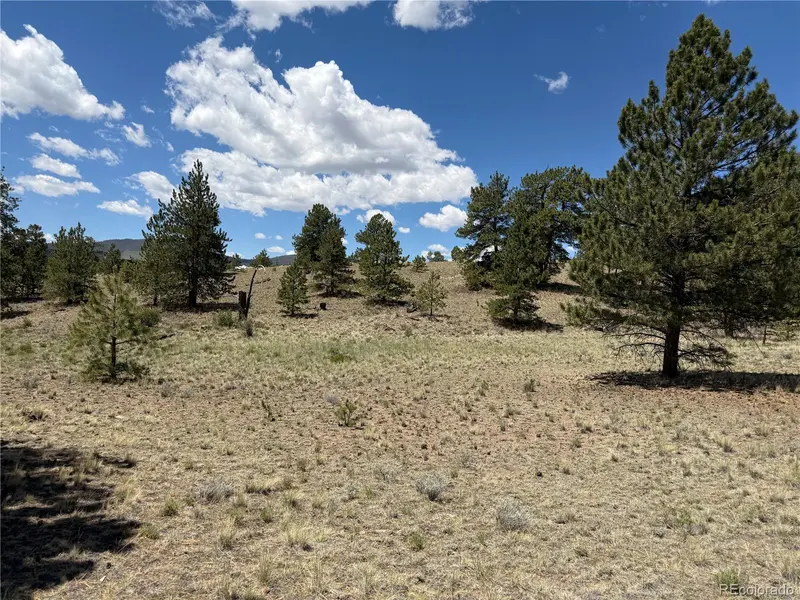595 Bridle PATH, Hartsel, CO 80449