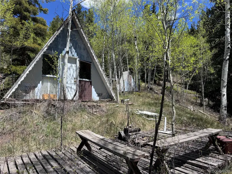 190 Blue Bell LN, Idaho Springs, CO 80452