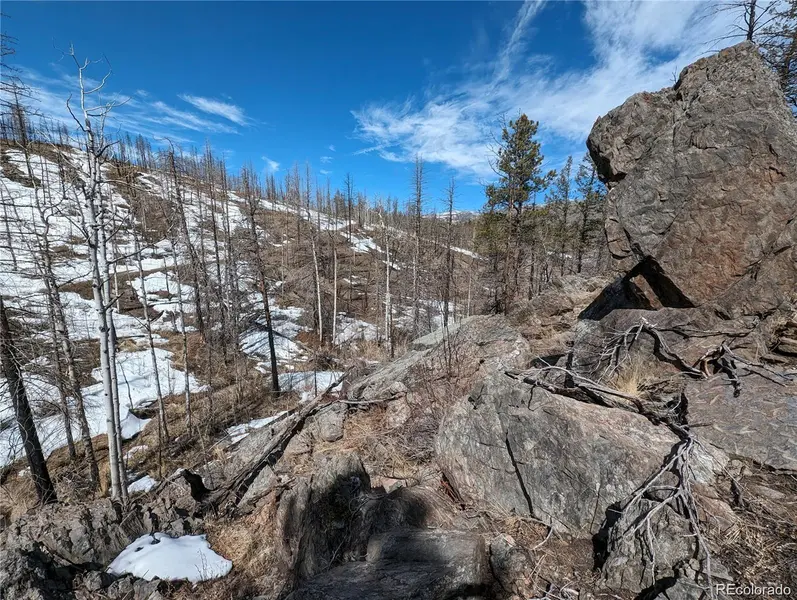 60 Powder Horn TRL, Bellvue, CO 80512