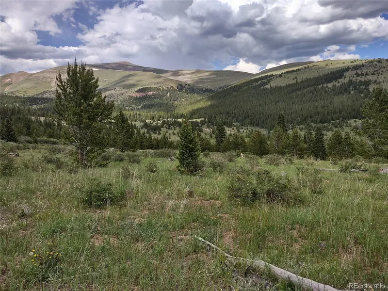 0 Snow Cap Peaks RD, Alma, CO 80402