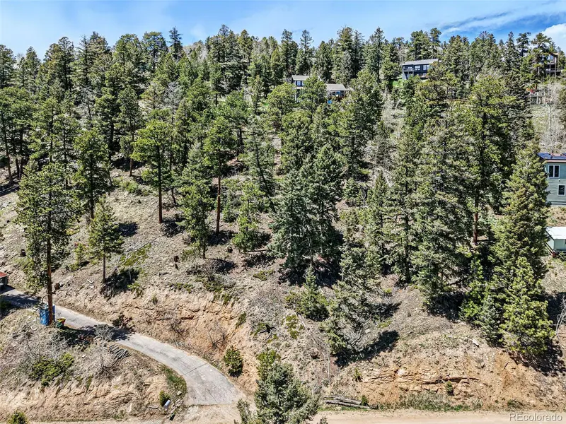 11618 Nichols WAY, Conifer, CO 80433