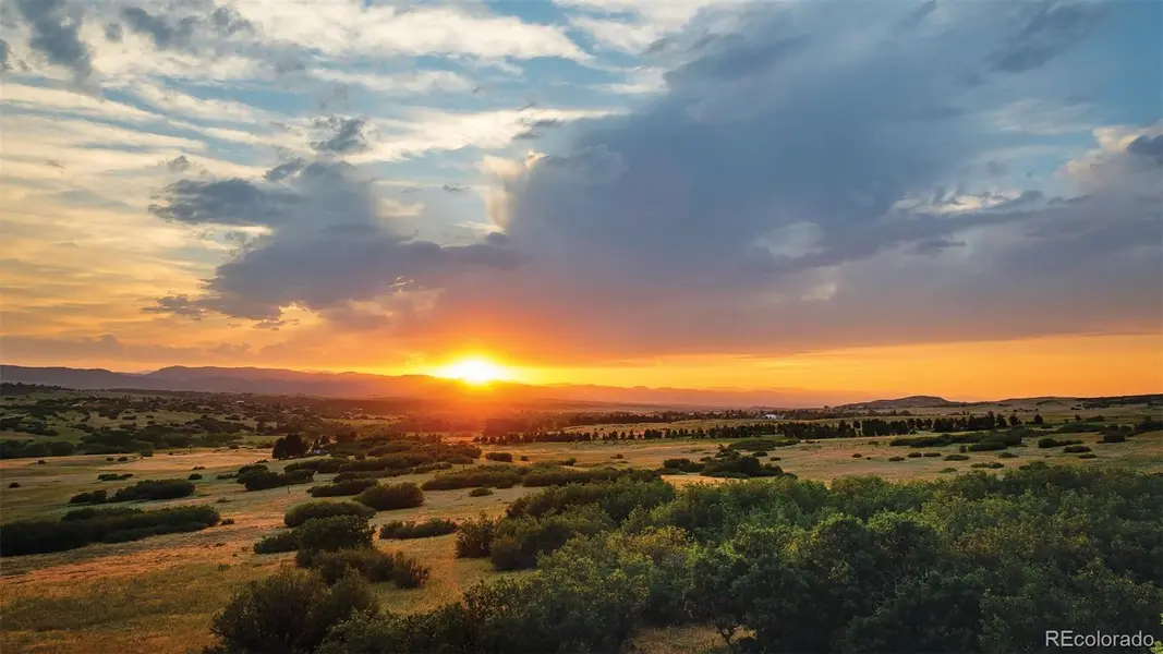 4279 Sanctuary WAY, Sedalia, CO 80135