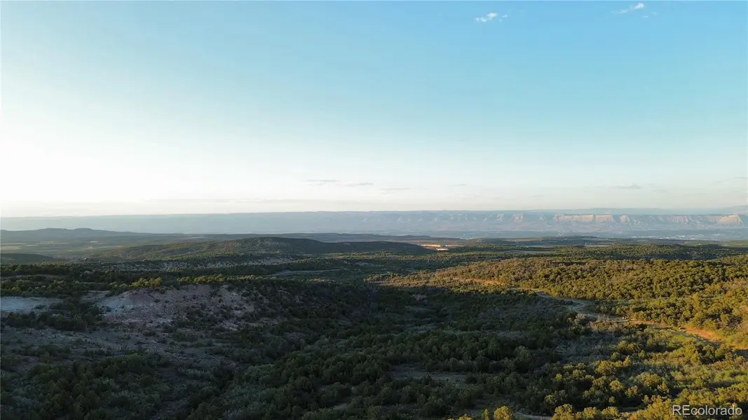 18975 Elk Reserve RD, Glade Park, CO 81523