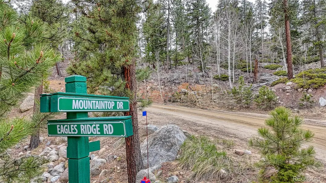 30176 Mountaintop DR, Buena Vista, CO 81211