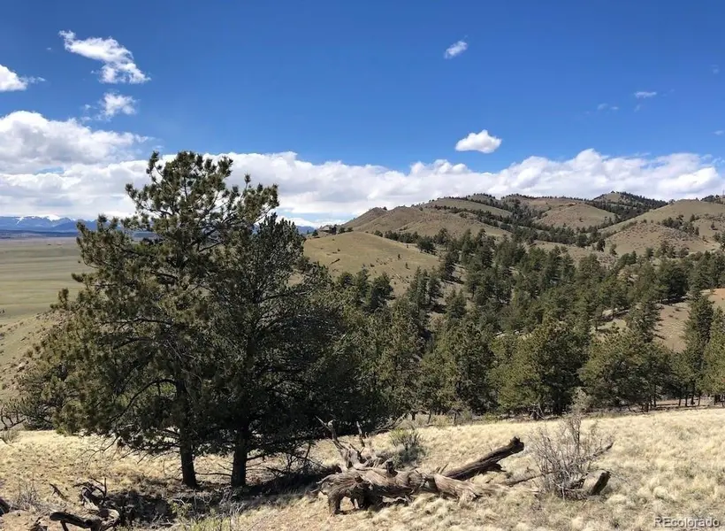 Lot 11 Willow ST, Hartsel, CO 80449