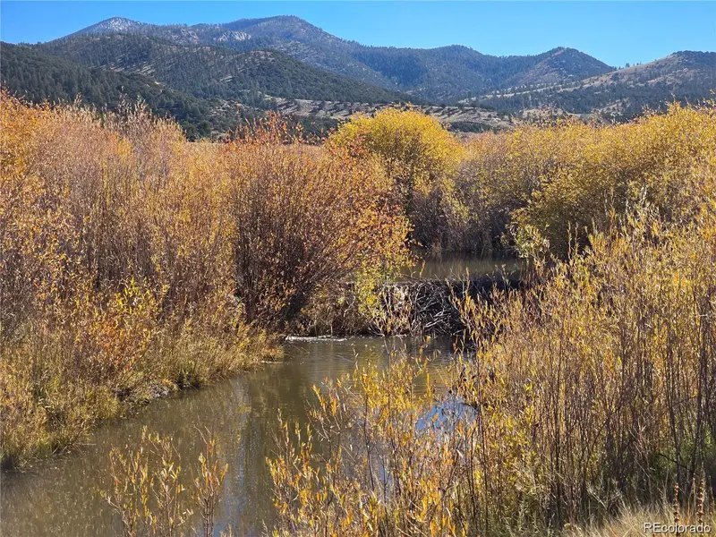 Lot 7542 Indian Creek RD, Fort Garland, CO 81133
