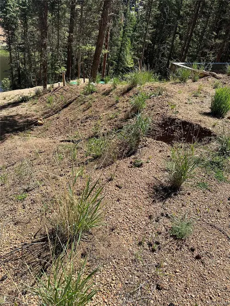 67 Gerka LN, Florissant, CO 80816