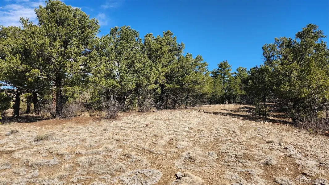 TBD L I PATH, Cotopaxi, CO 81223