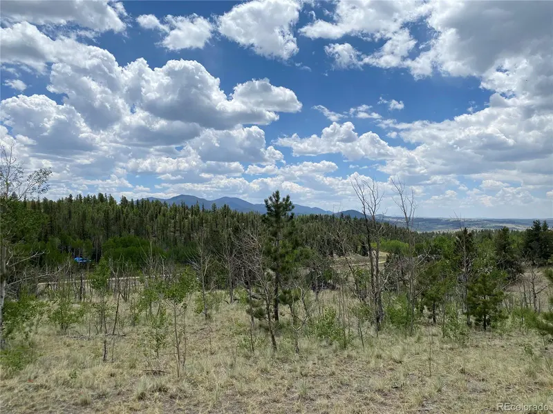 0 TBD Al Gulch RD, Jefferson, CO 80456