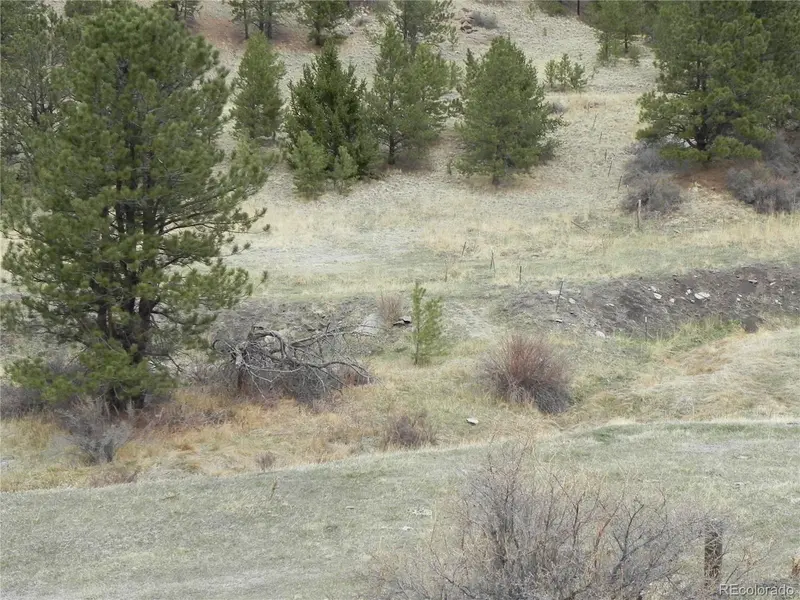 521 Monarch DR, Cripple Creek, CO 80813