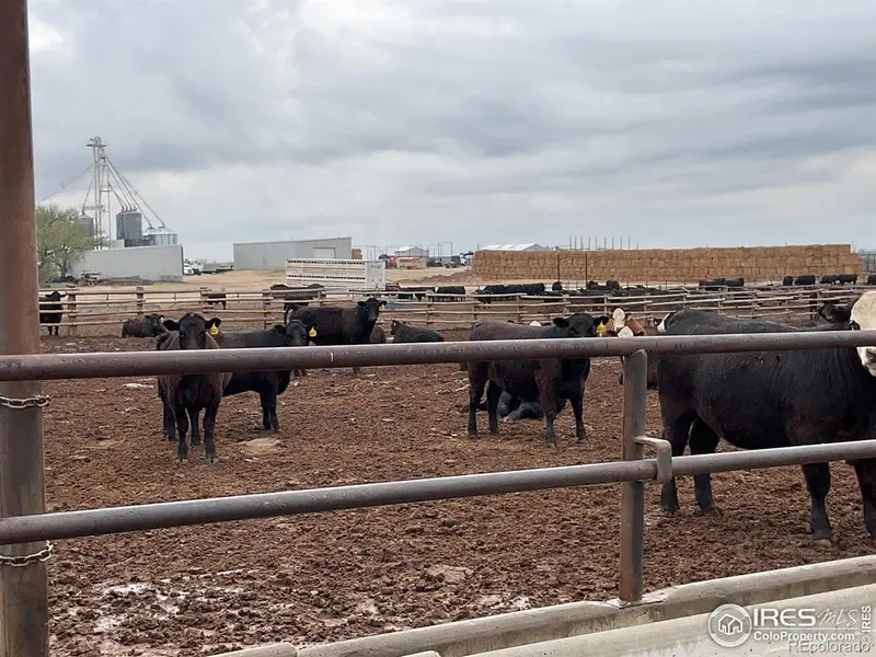 0 Hwy, Kit Carson, CO 80825