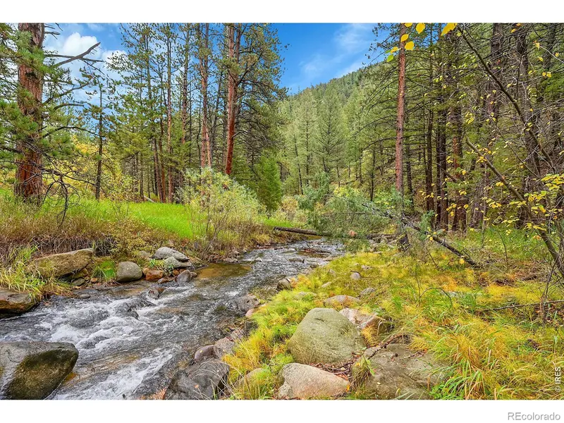 5567 Lefthand Canyon DR, Jamestown, CO 80455