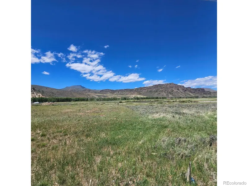 Cedar, Hot Sulphur Springs, CO 80451
