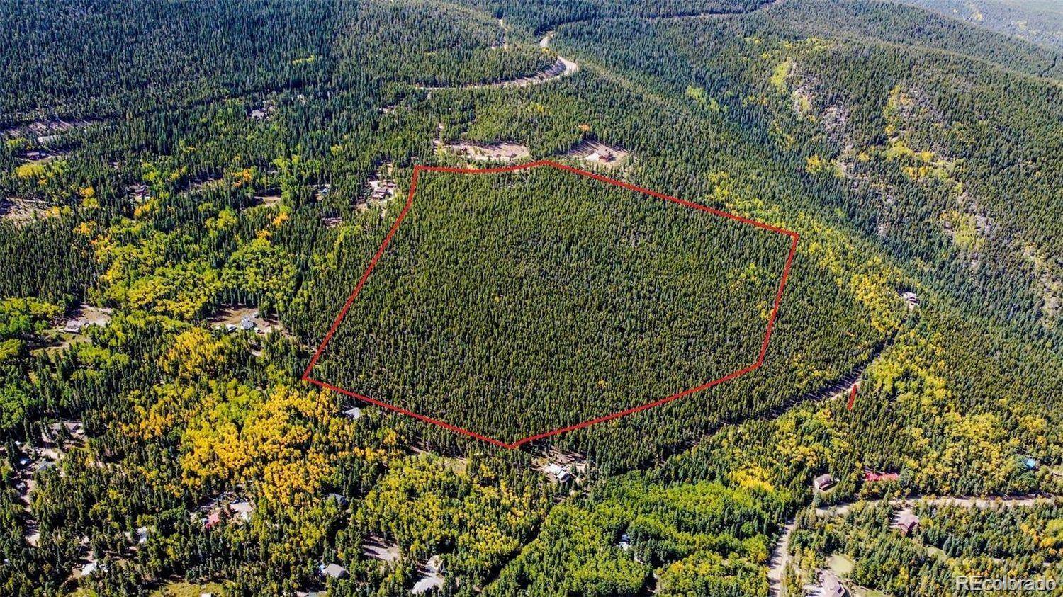 000 Sawmill LN, Idaho Springs, CO 80452