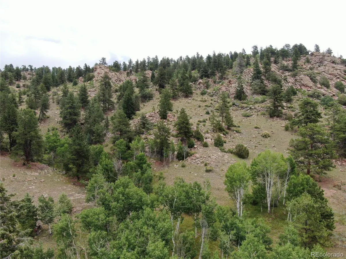76 Crocus CIR, Florissant, CO 80816