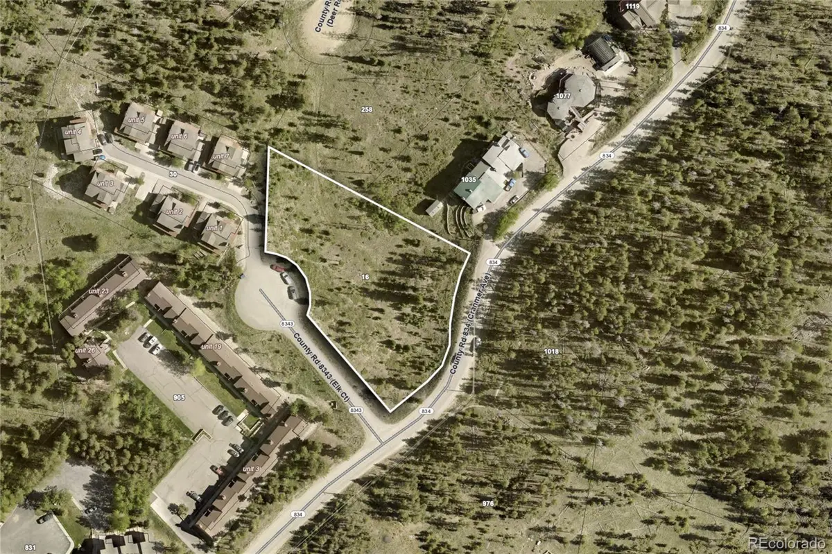 16 County Rd 8343/Elk CT, Fraser, CO 80442