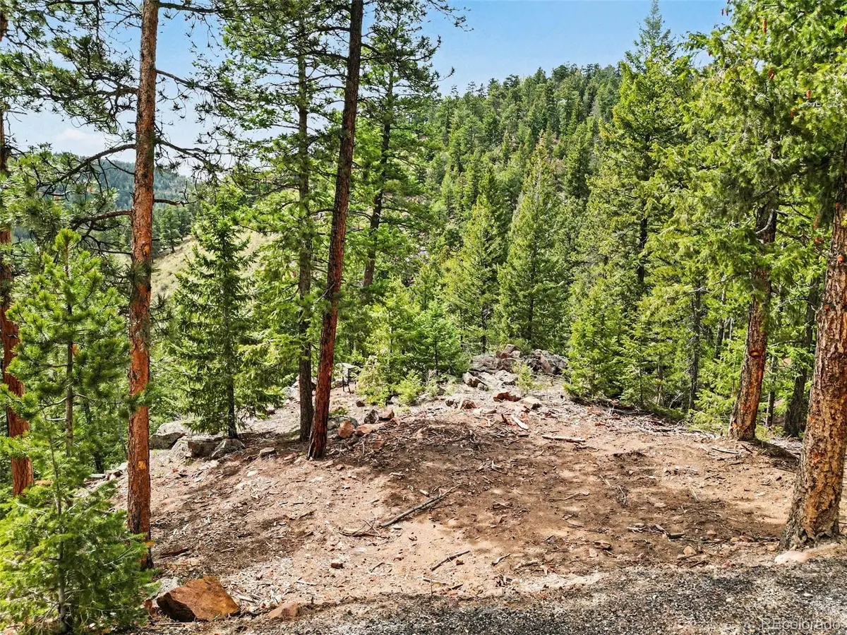 7141 Timber Trail RD, Evergreen, CO 80439