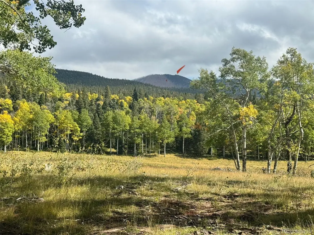 Lot 2843 Wendt LN, Fort Garland, CO 81133
