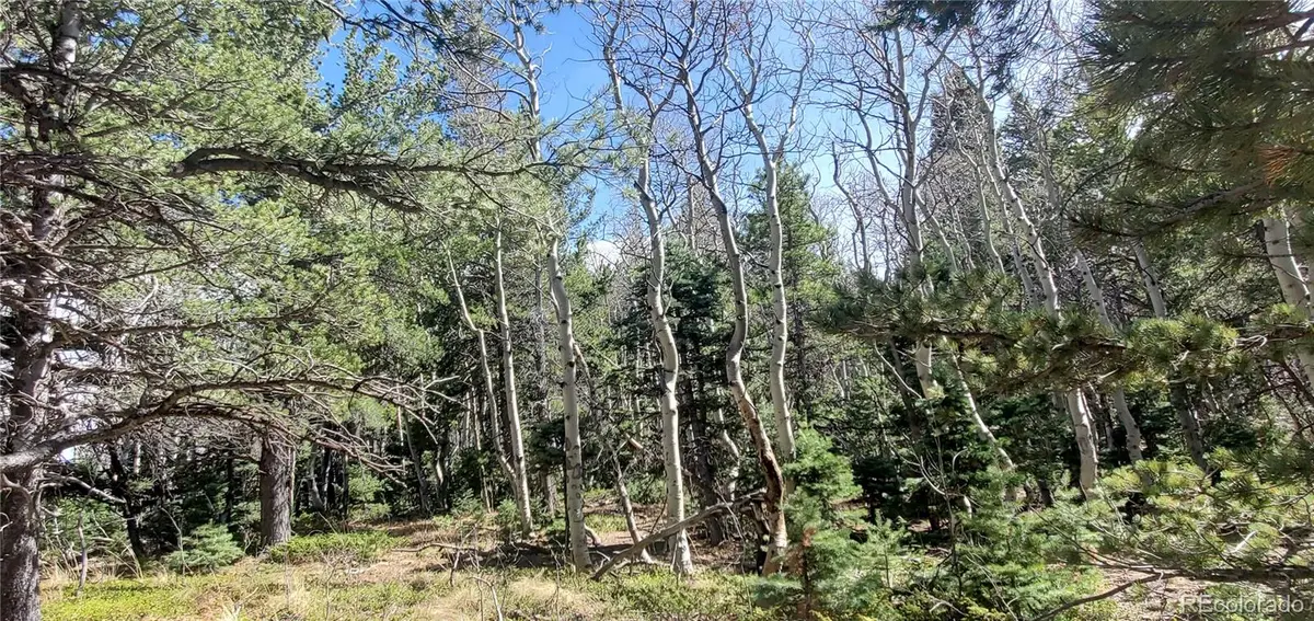 Lot 2560 Grojean DR, Fort Garland, CO 81133