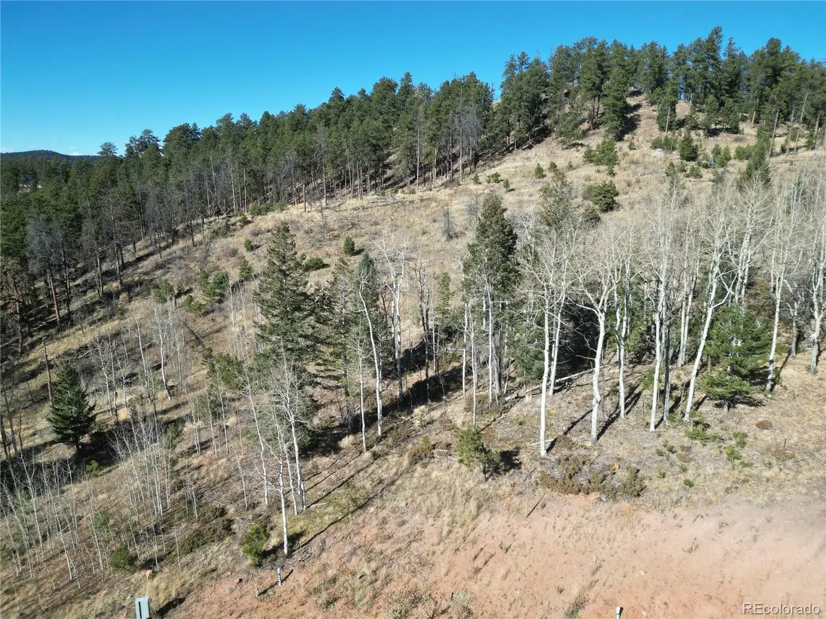 14 Blue Haven PL, Woodland Park, CO 80863