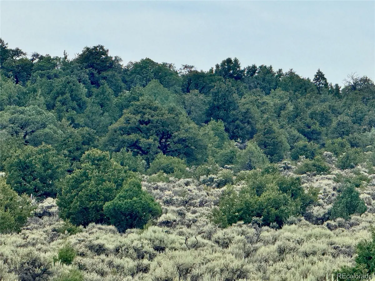 Lot 38 WildHorse DR, San Luis, CO 81152