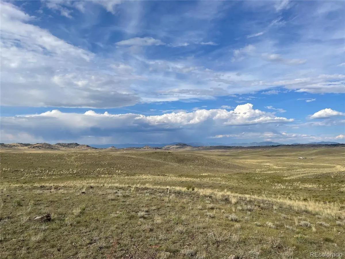 000 Taos TRL, Hartsel, CO 80449
