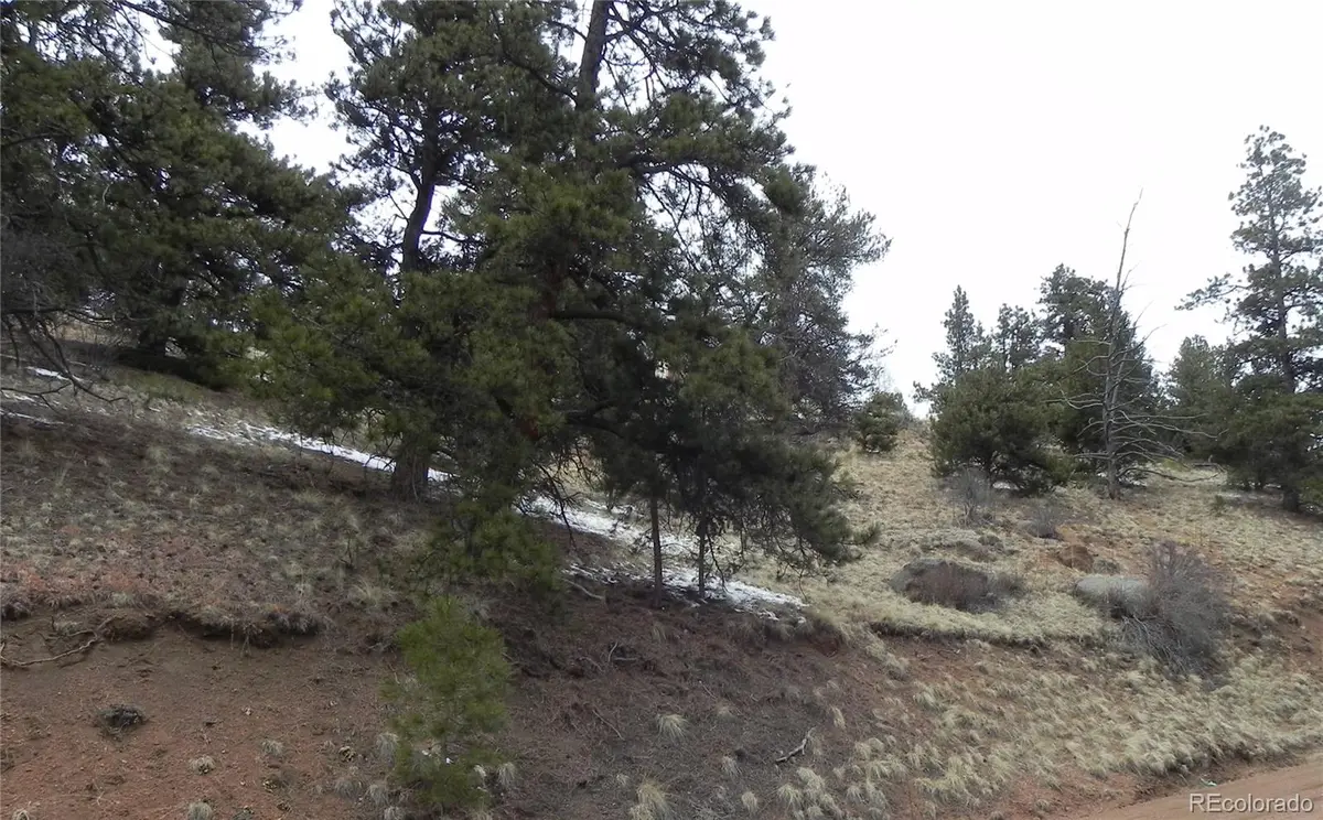 153 Idlewild DR, Cripple Creek, CO 80813