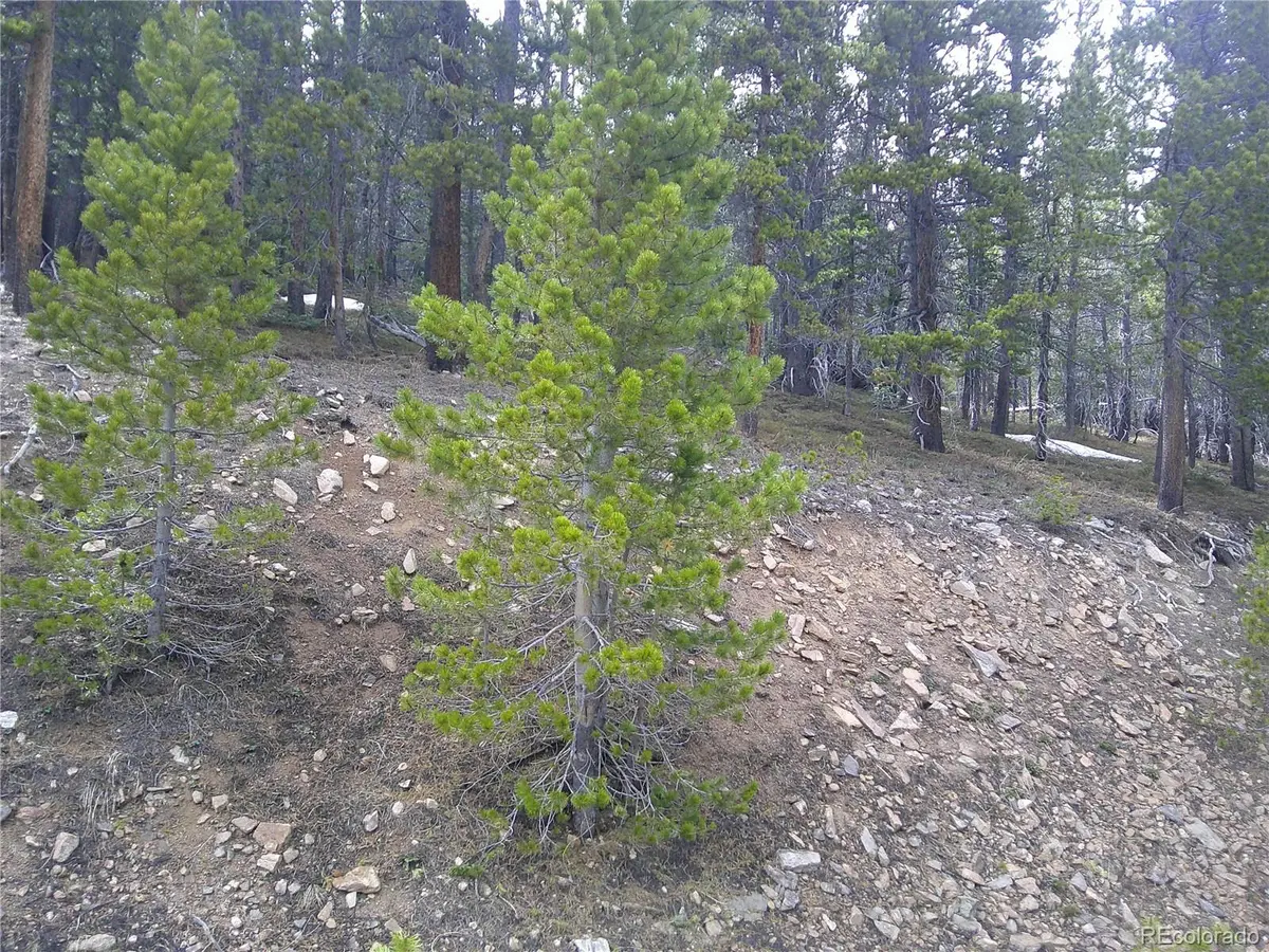 Lot 417 Glory Hole RD, Idaho Springs, CO 80452