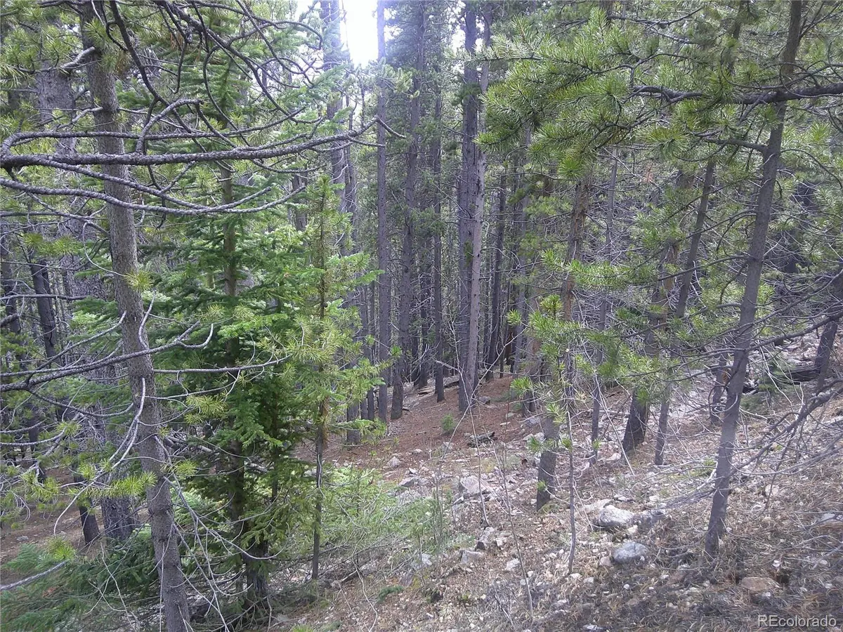 Lot #440 Hillside RD, Idaho Springs, CO 80452
