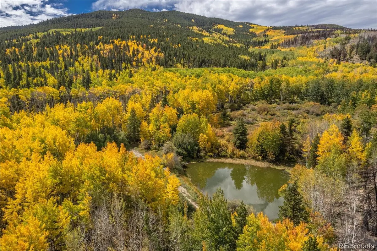0000 TBD County Road 28A, Twin Lakes, CO 81251