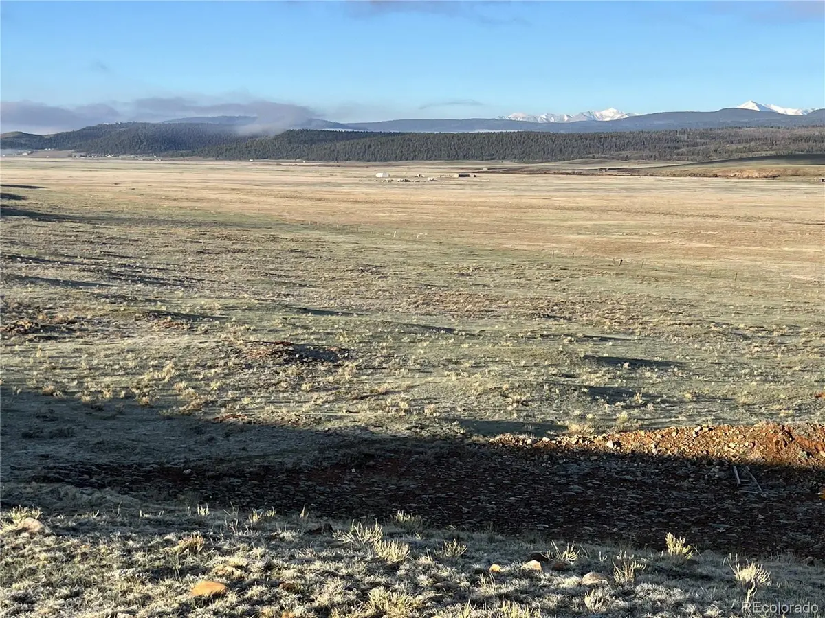 320 South Fork WAY, Hartsel, CO 80449
