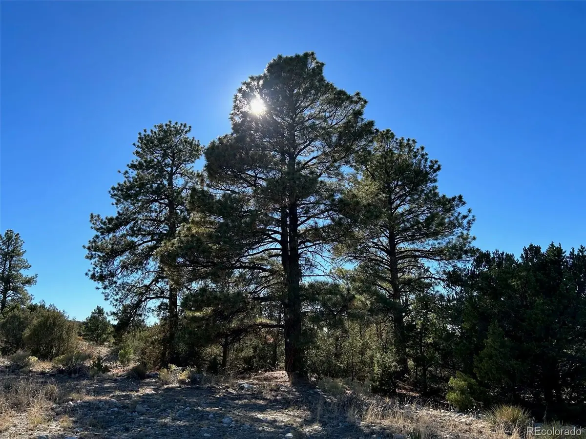 25 Pioneer RD, Mosca, CO 81144