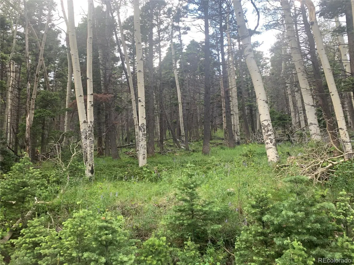 2956 Kemper LOOP, Fort Garland, CO 81133