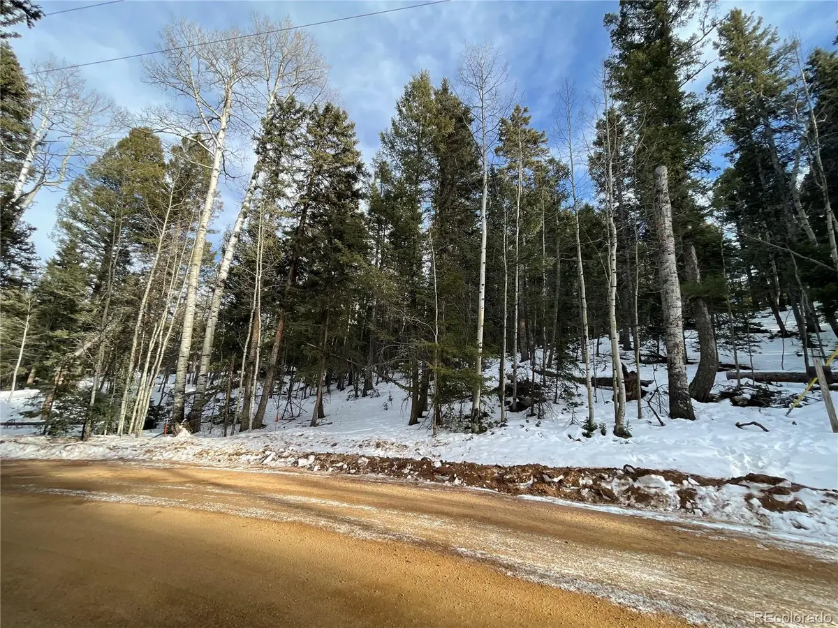 222 Banner TRL, Florissant, CO 80816