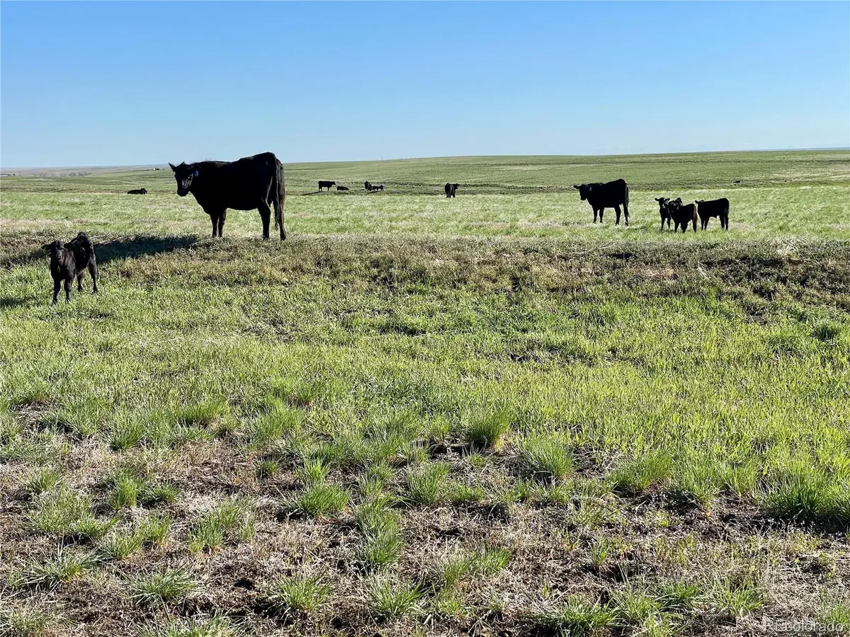 County Road 125, Deer Trail, CO 80105