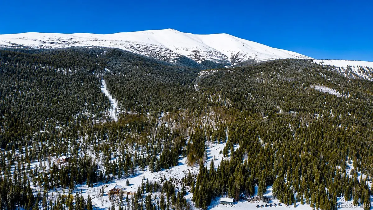 940 Lewsader RD, Alma, CO 80420
