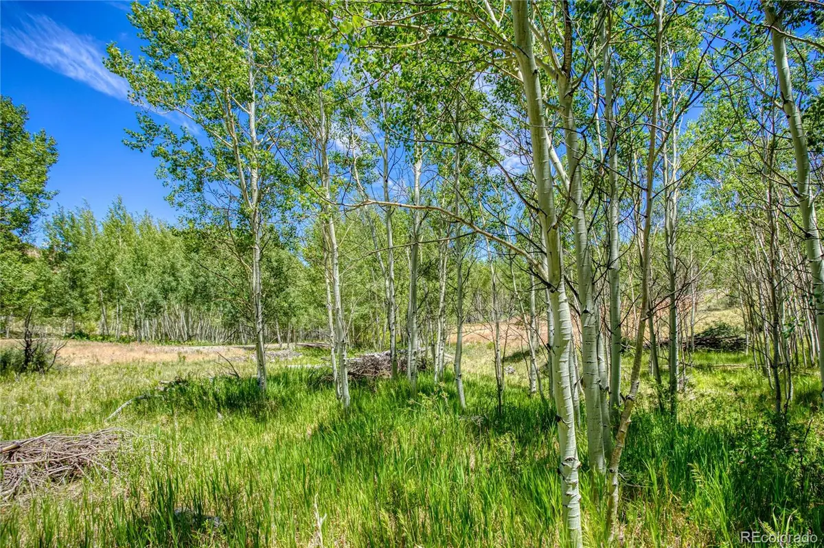 302 Rickel CIR, South Fork, CO 81154