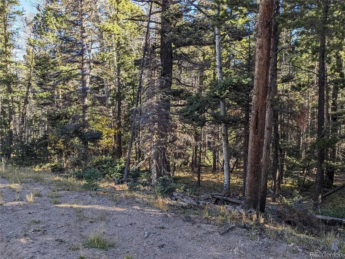 3067 Forbes Park LOOP, Fort Garland, CO 81133