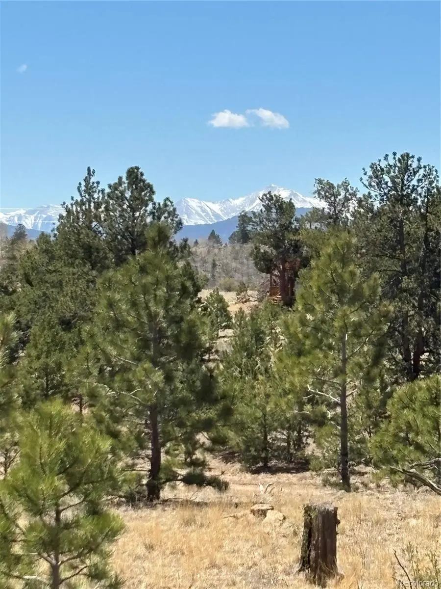 Hiawatha CIR, Hartsel, CO 80449