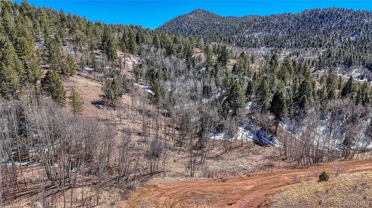513 Last Dollar DR, Cripple Creek, CO 80813