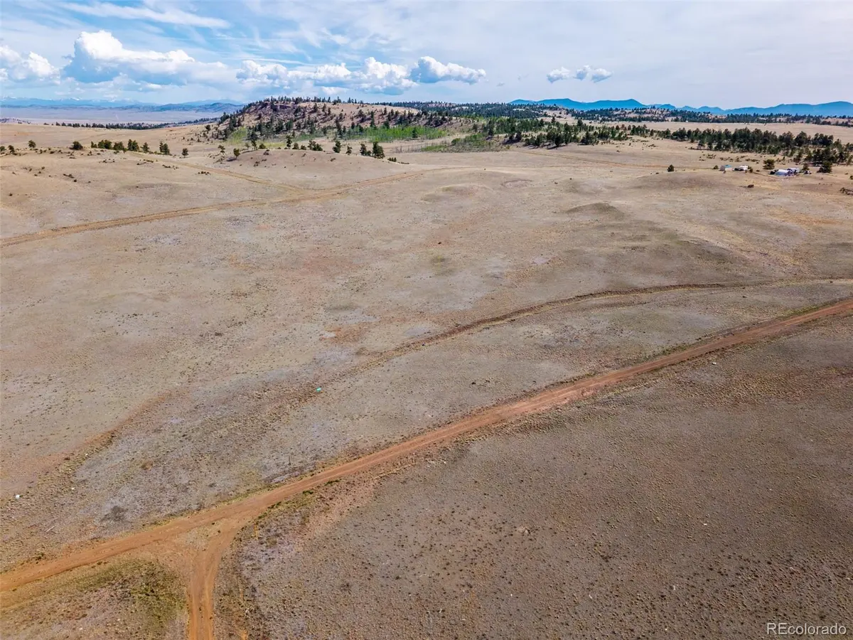 4429 Shawnee TRL, Hartsel, CO 80449