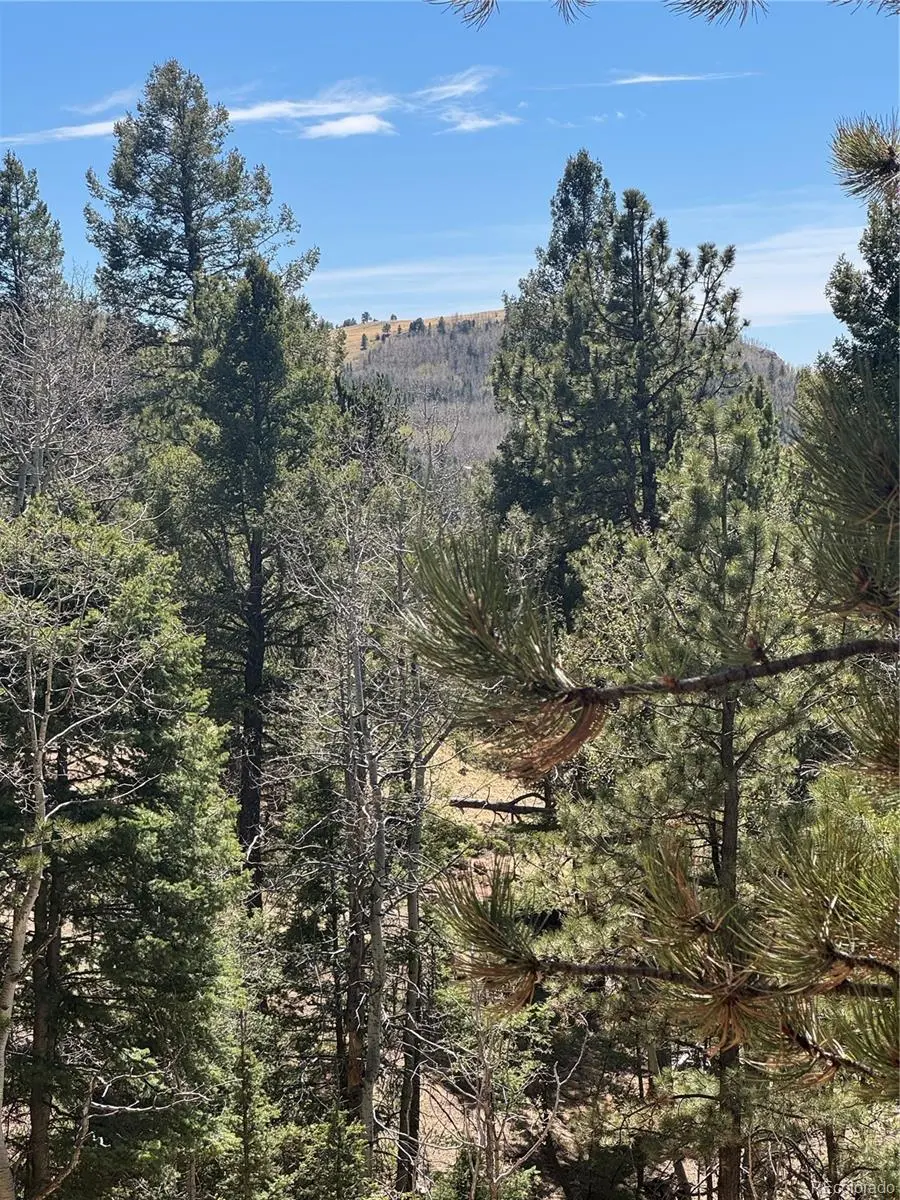 288 Troy DR, Cripple Creek, CO 80813