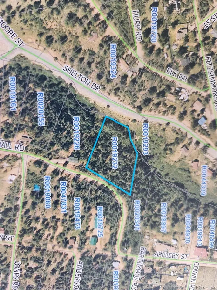 72 Hall RD, Bailey, CO 80421