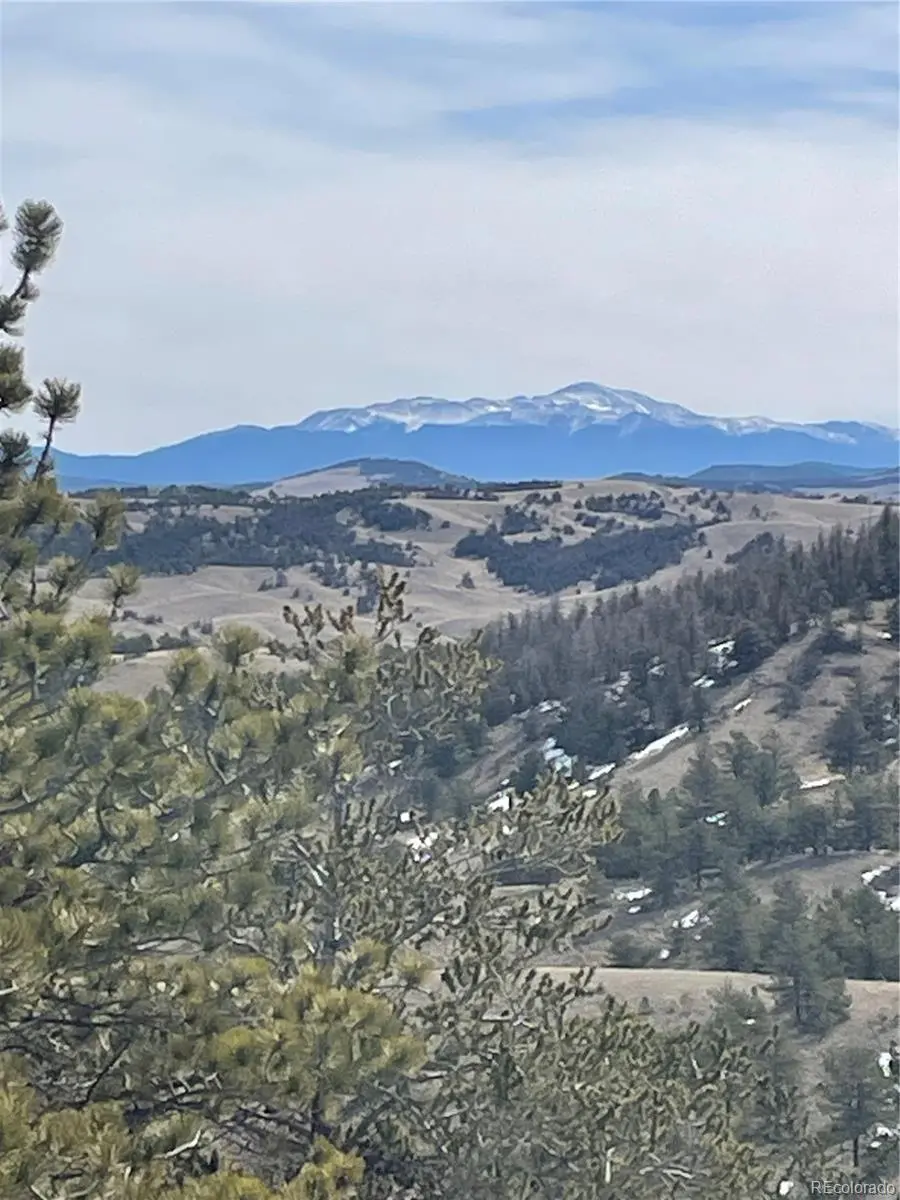 Antelope RD, Hartsel, CO 80449
