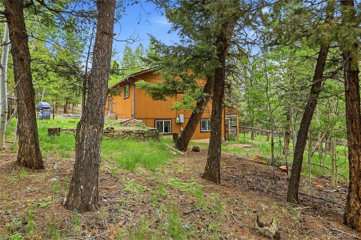 175 Mount Bailey DR, Bailey, CO 80421