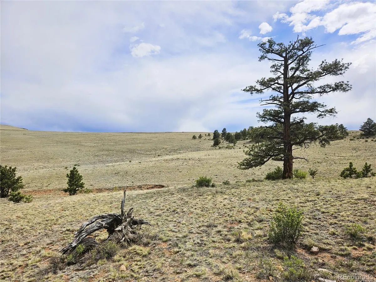 PCS#24131 Chato RD, Hartsel, CO 80449