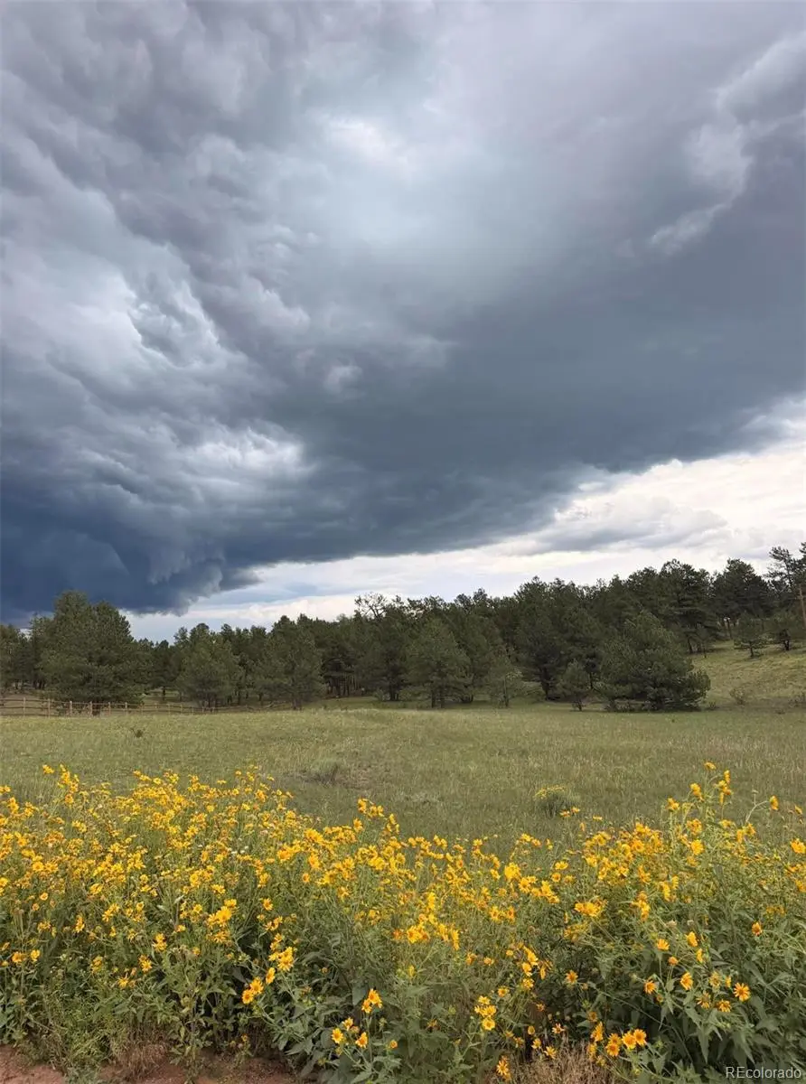 382 Arrowhead DR, Florissant, CO 80816